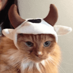 bullish 图标