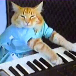 Keyboard Cat 圖標