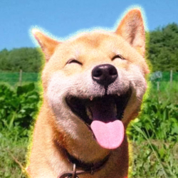 Maru Dog 图标