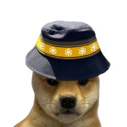 BNB DOGE