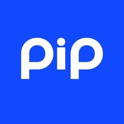 PIP 图标