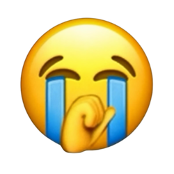 Логотип SON