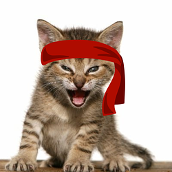 Логотип Red Kitten Crew