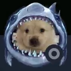 sharkdog 로고