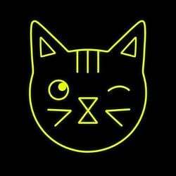Wink Cat