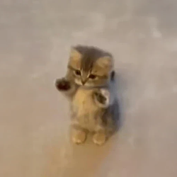 wiwiwi 로고