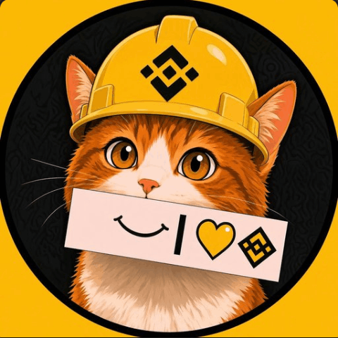 Binance Cat Logoja