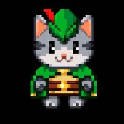 Логотип ROBINCAT