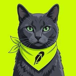 Fidel Catstro