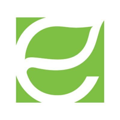 Energy Focus, Inc.