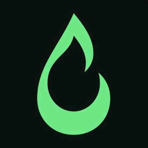 Torch Logo