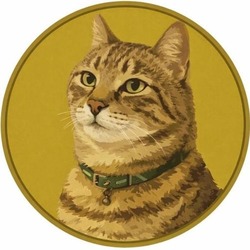 GinnanCoin
