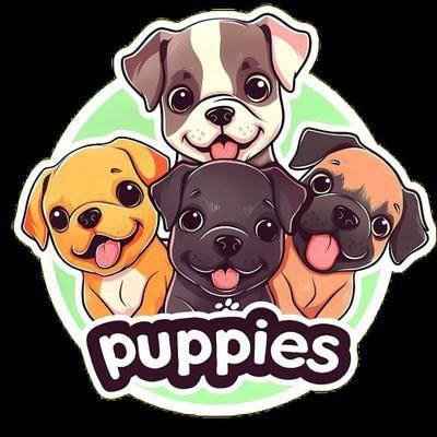 PUPPIES/USDT